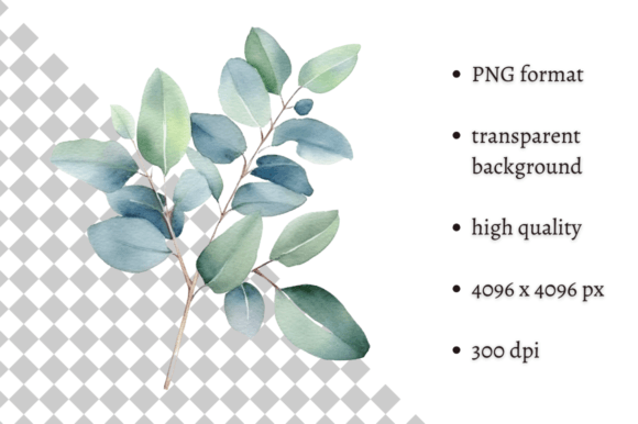 Download Watercolor Eucalyptus Leaves Clipart - Premium Bundle